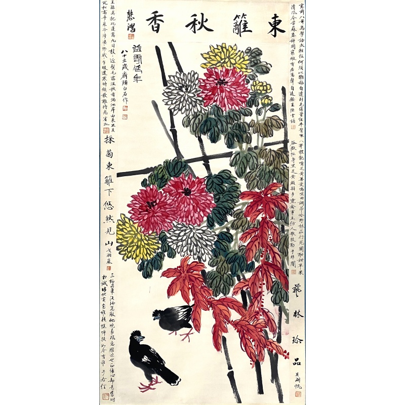 菊花58047