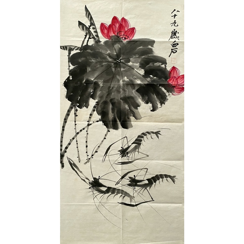 荷花虾56947