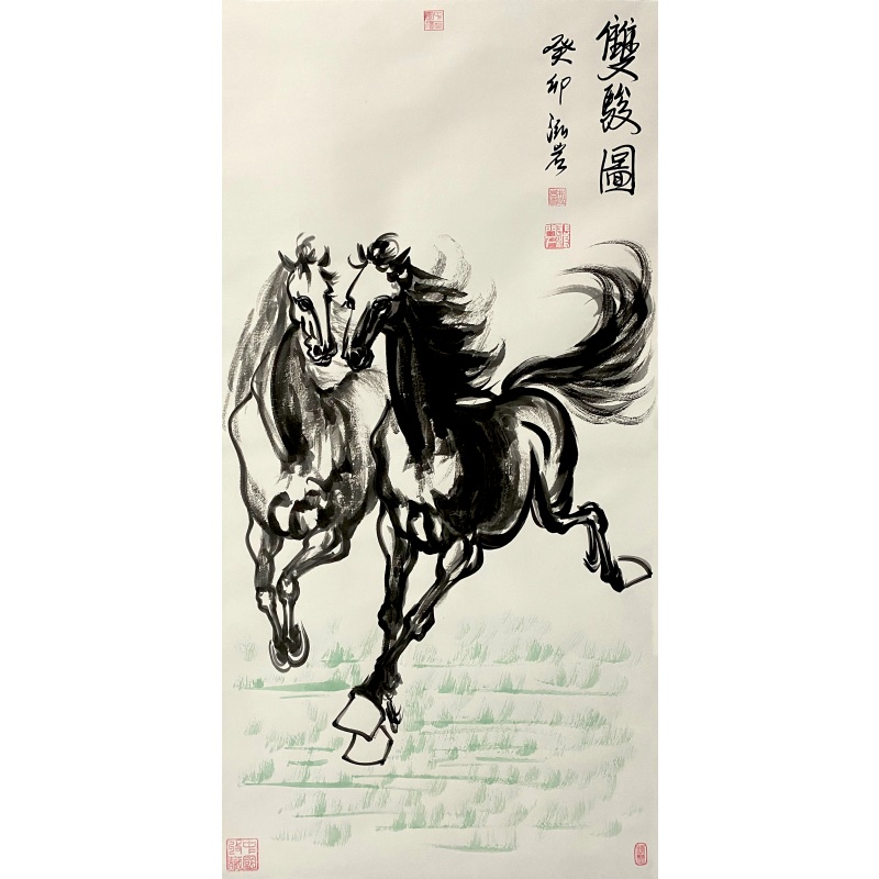 双马图56905