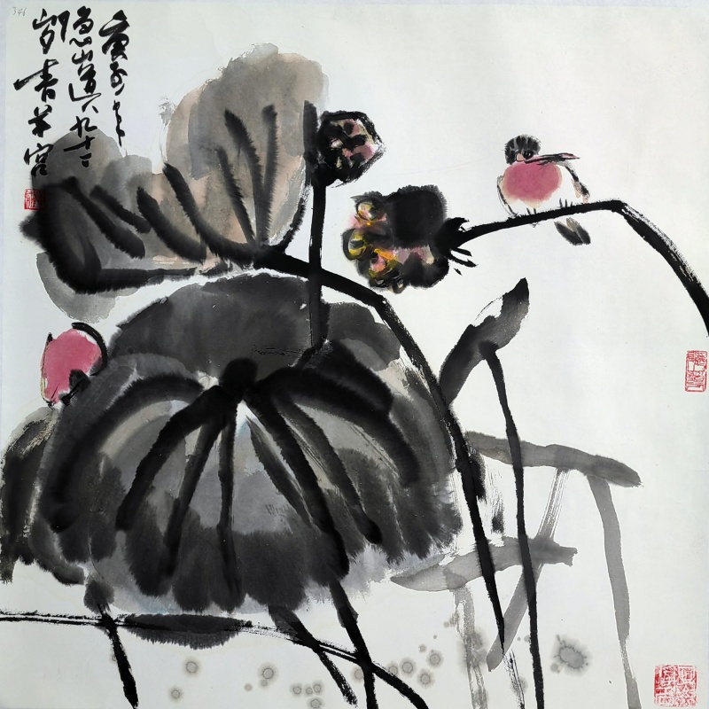 荷韵秋鸣58779