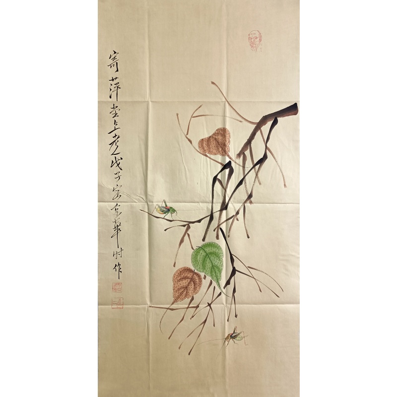 贝叶虫草 59392