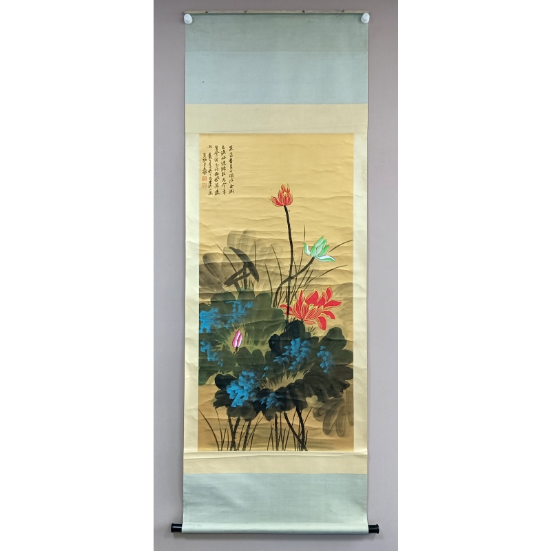 荷花56773