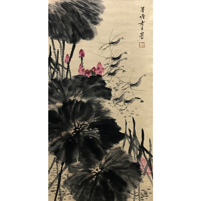 荷花58414