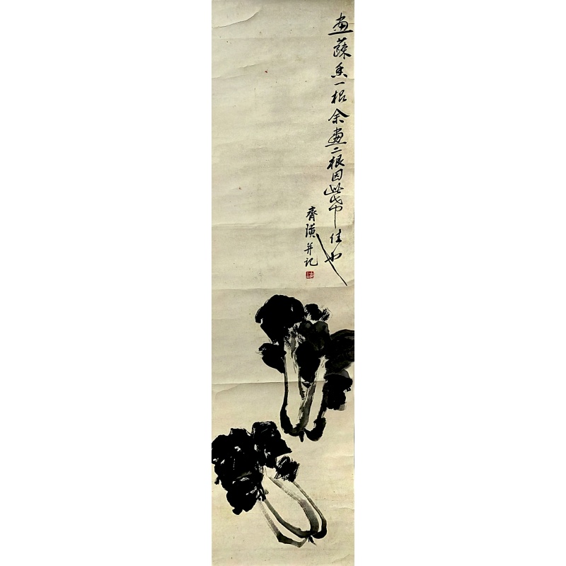 白菜58301