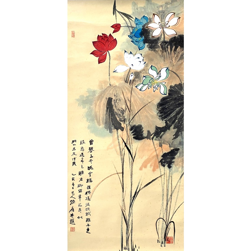 荷花59044