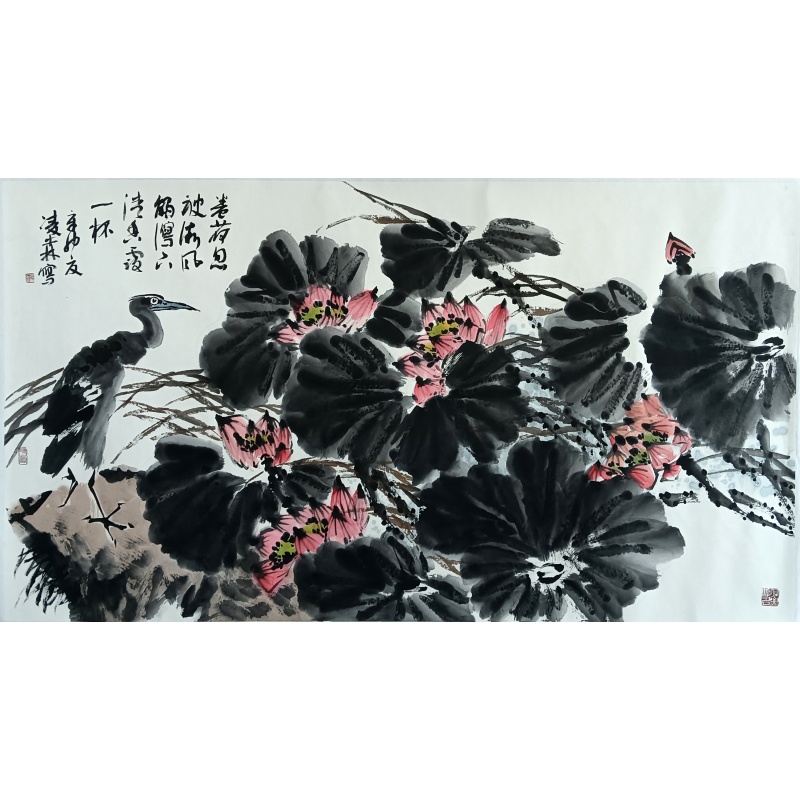 荷花图58169