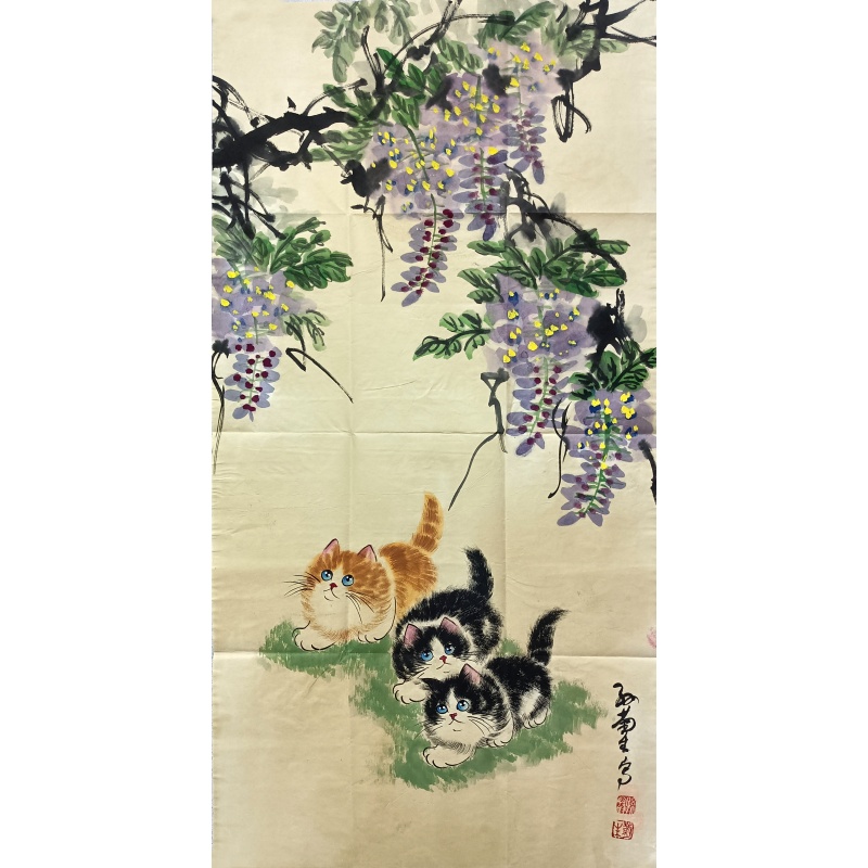 猫56354