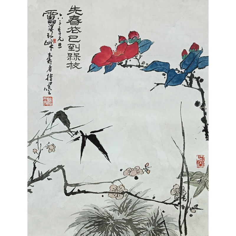 先春花已到56676