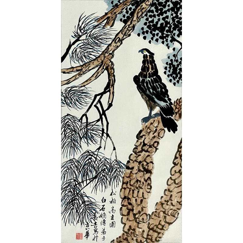 松柏高丽图563870