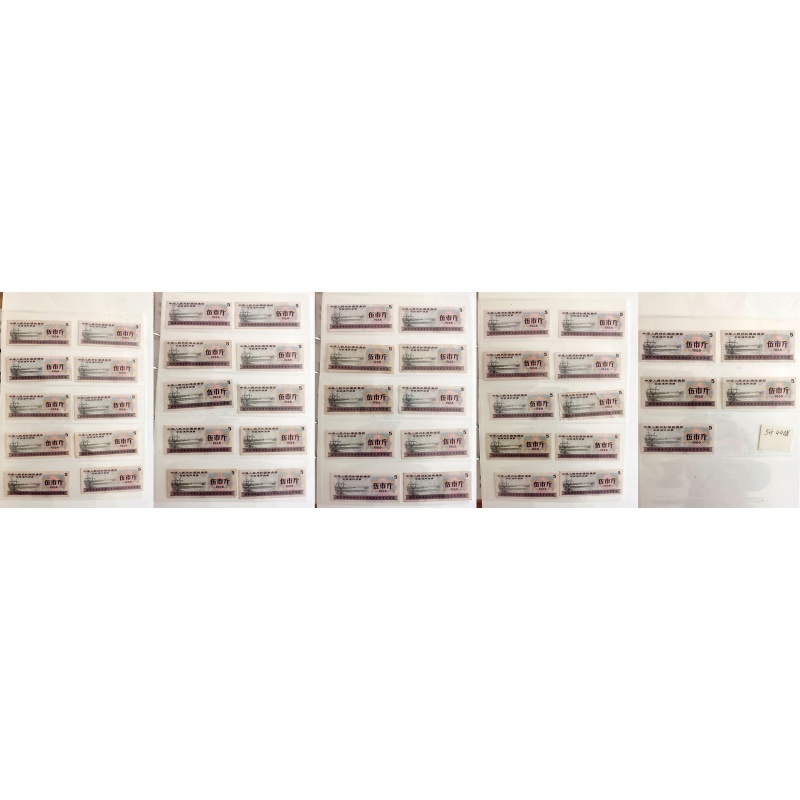 全国粮票1966年5斤(45枚)AA0027