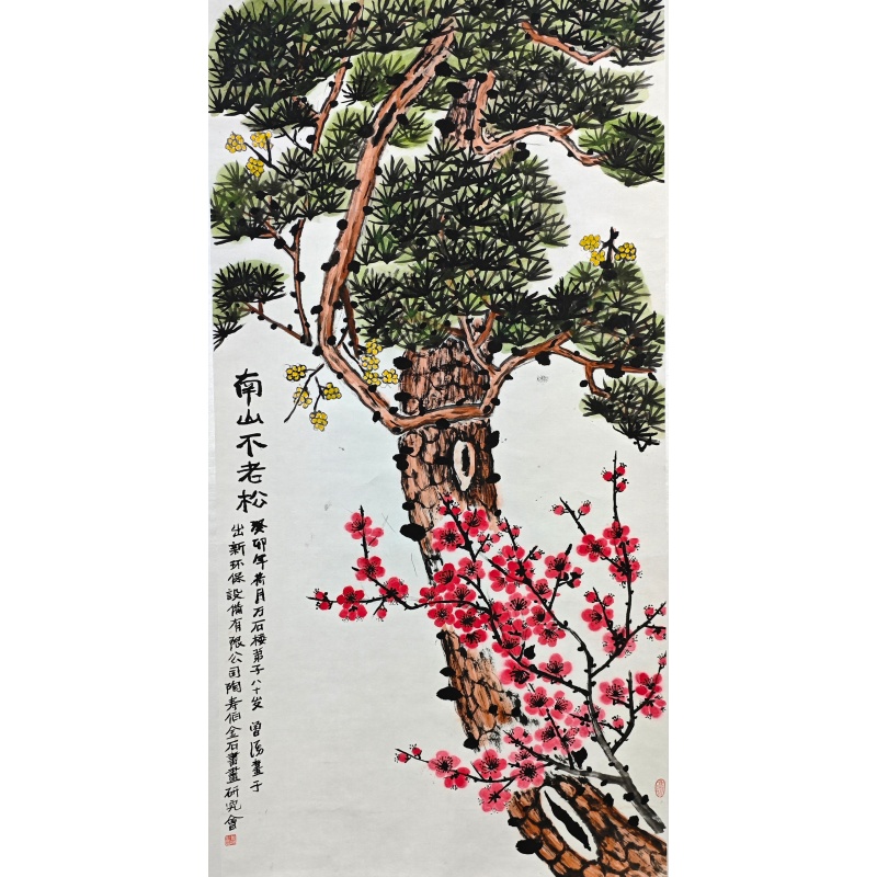 南山不老松570280