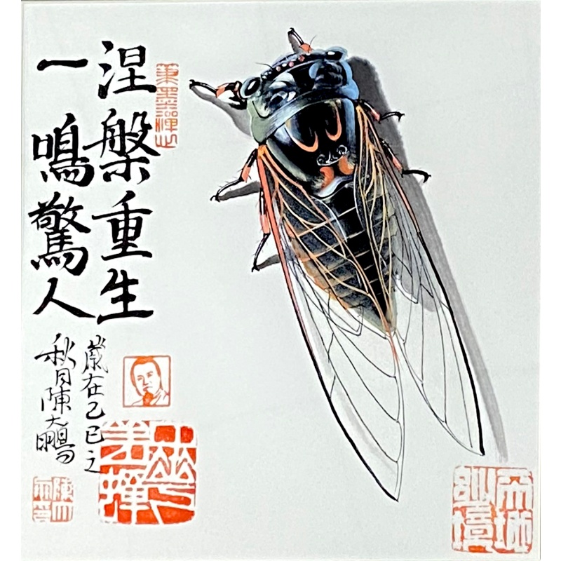 一鸣惊人涅槃重生59923