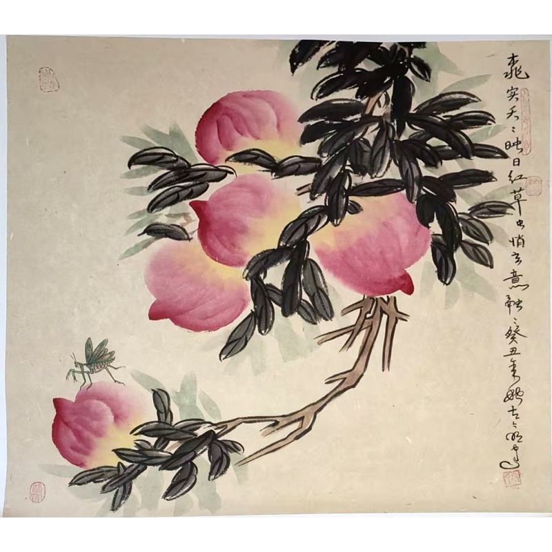 桃实天天映日红AA0081