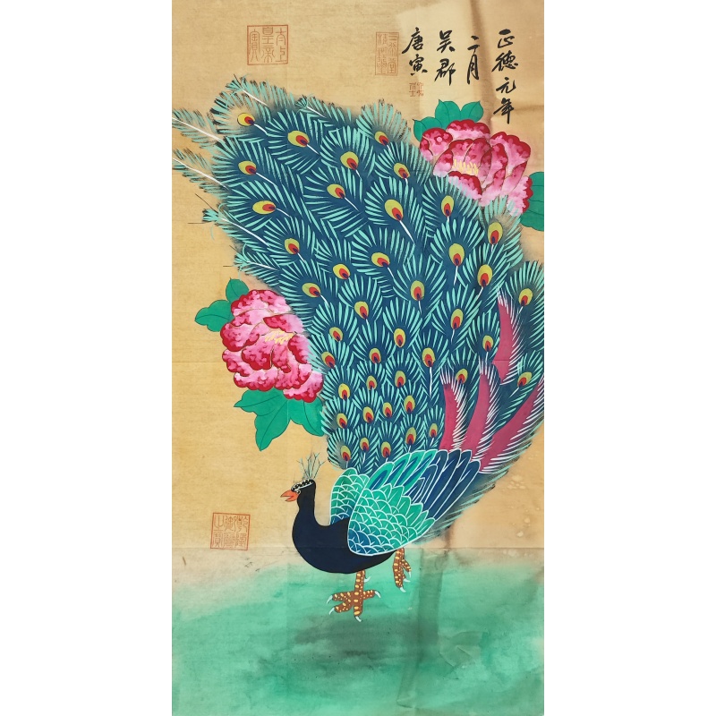 动物图（孔雀）5162