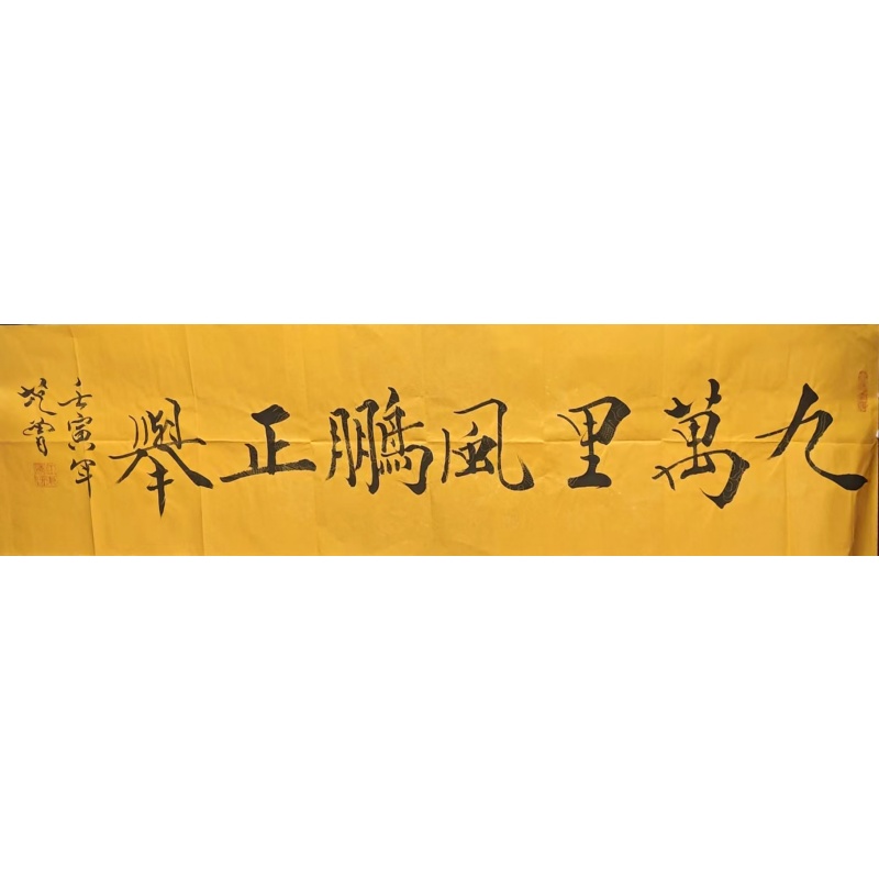 九萬里风鹏正举AA0177