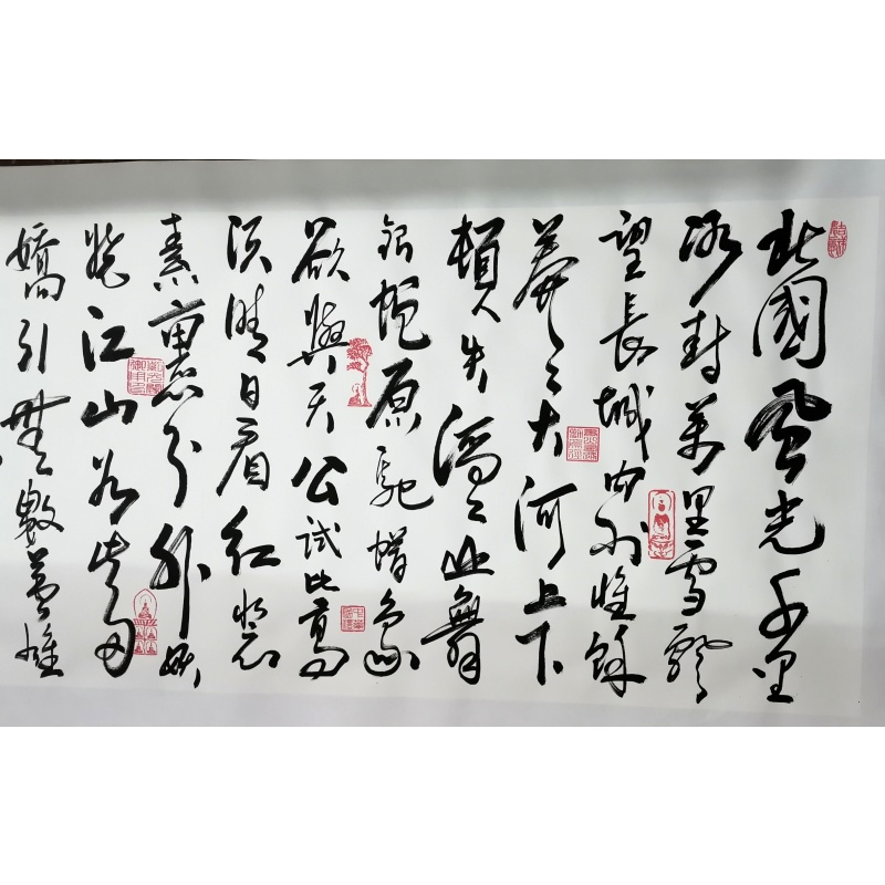 《沁园春.雪》AA0194