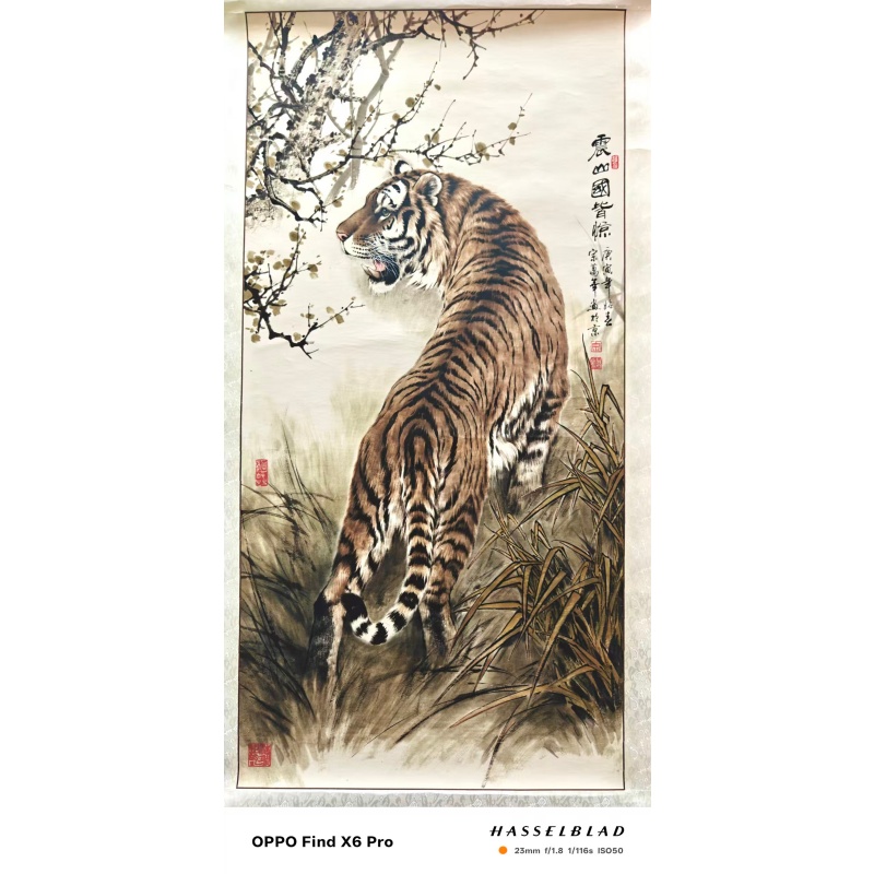 振山国皆惊AC0273