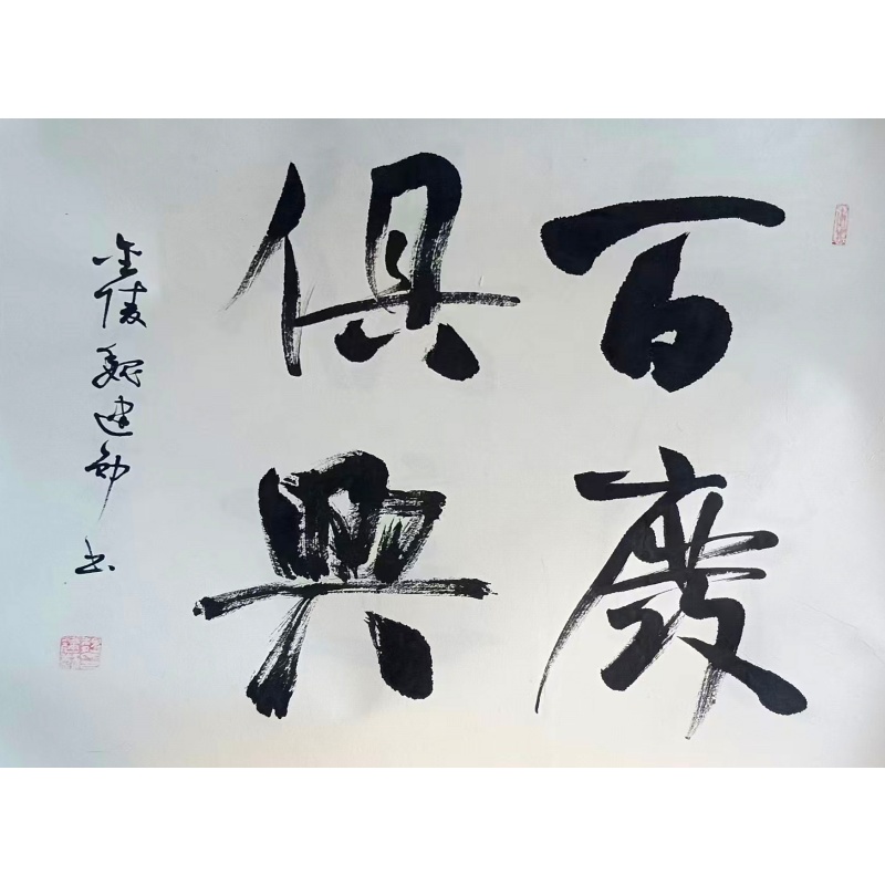 与时俱进 百废俱兴书法AA0489