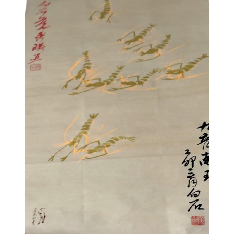 金虾图AC1312