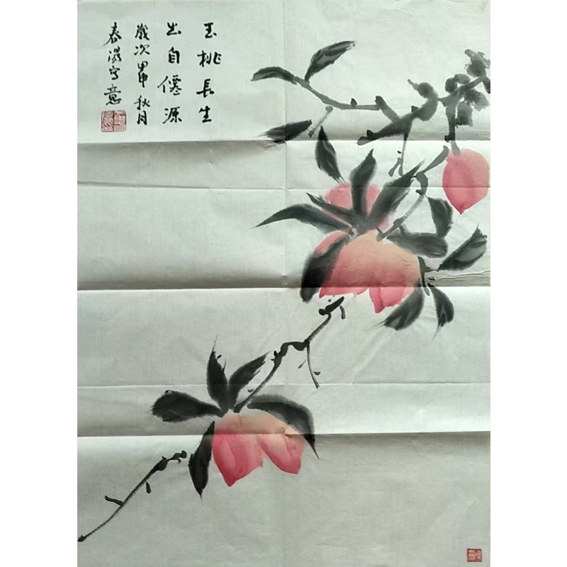 玉桃长生AF0282