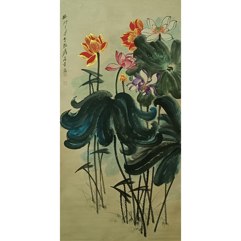 《荷花》AA0568
