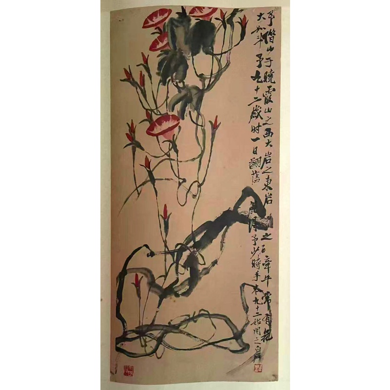 牵牛花AB1931