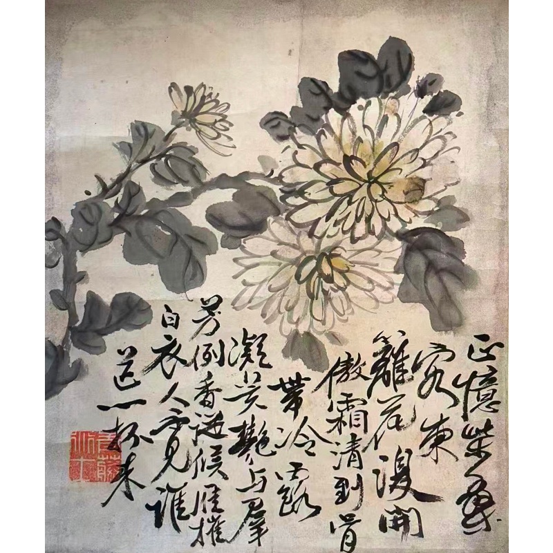 牡丹梅花双开册AB1930