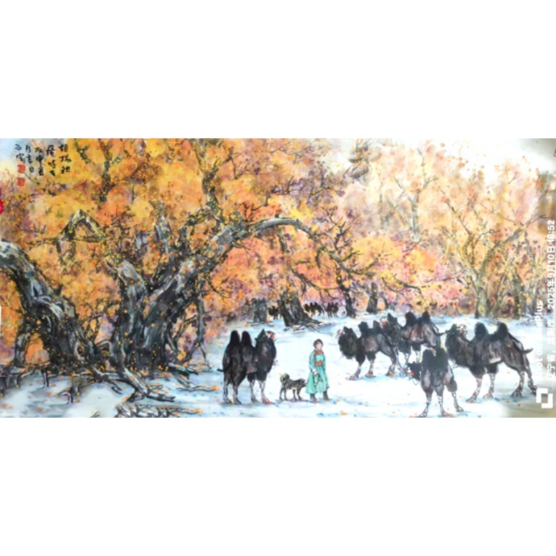 胡杨秋AC1371