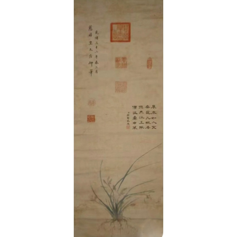 兰草图AC1575