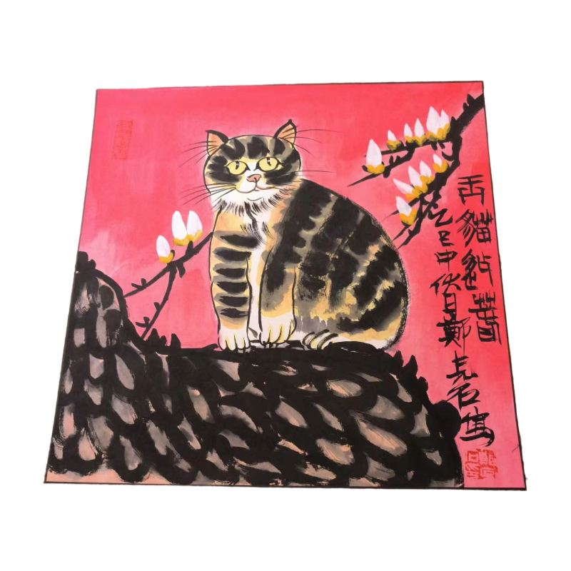玉猫迎春AC1596