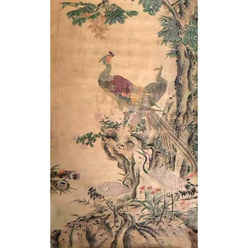 孔雀图AB2252