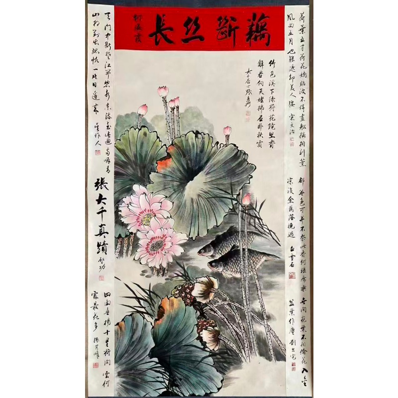 荷花AB2449