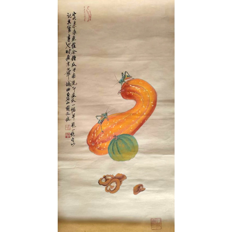 南瓜AB01528