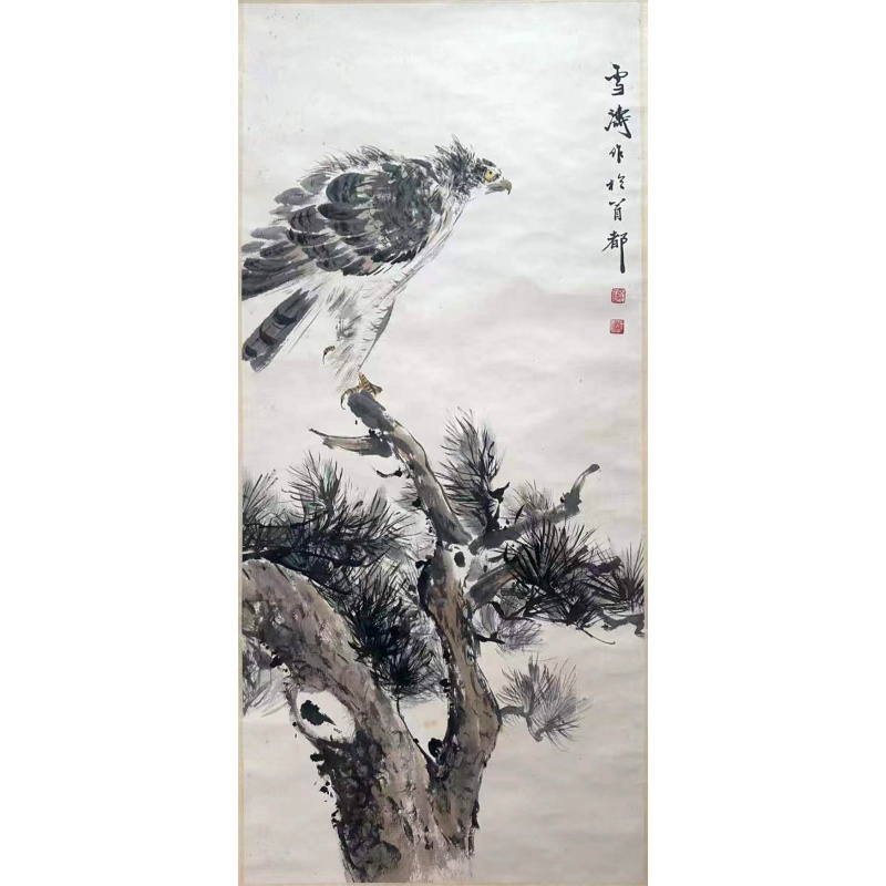 松鹰图AB2568