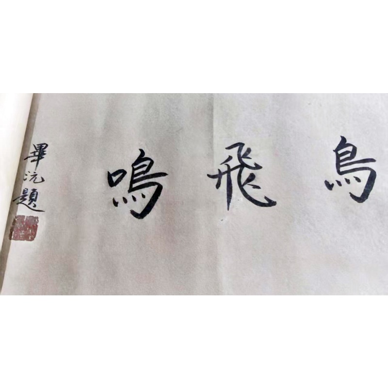 灵鸟飞鸣AC1131