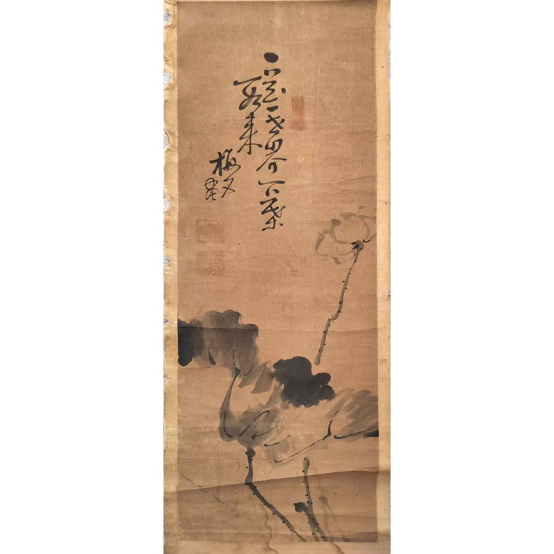 清代水墨荷花AK0746