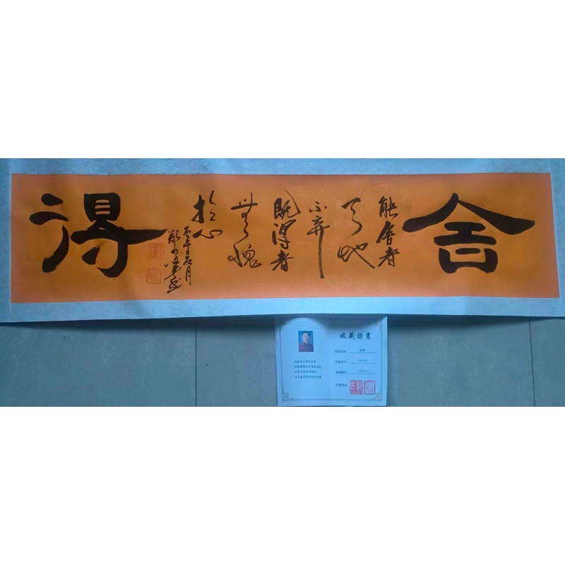 舍得AC1176