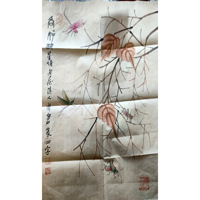 贝叶草虫AB2802