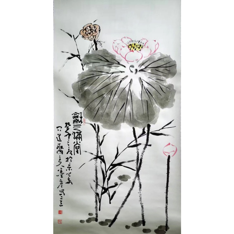 荷花图AB2799