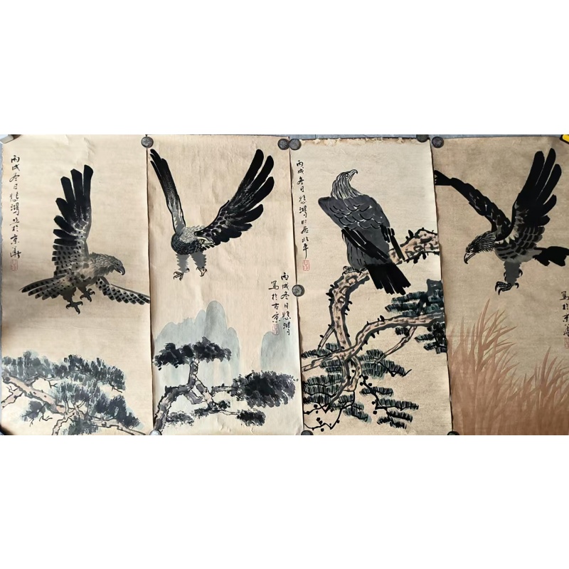 动物图AB01572