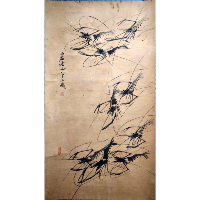 群虾图AB01590