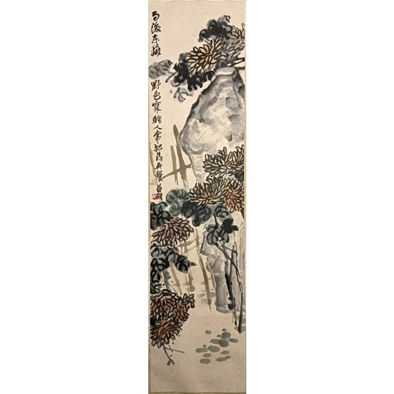 菊石图AC0571