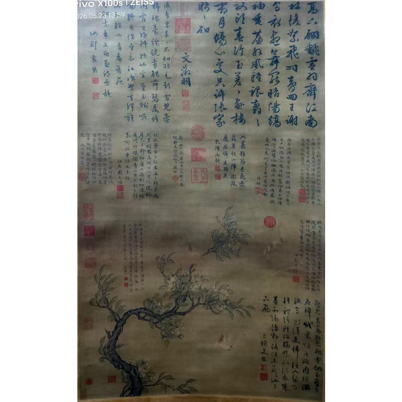 梨花双燕图AB01598