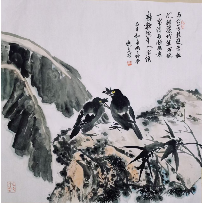 雨打芭蕉AG1258