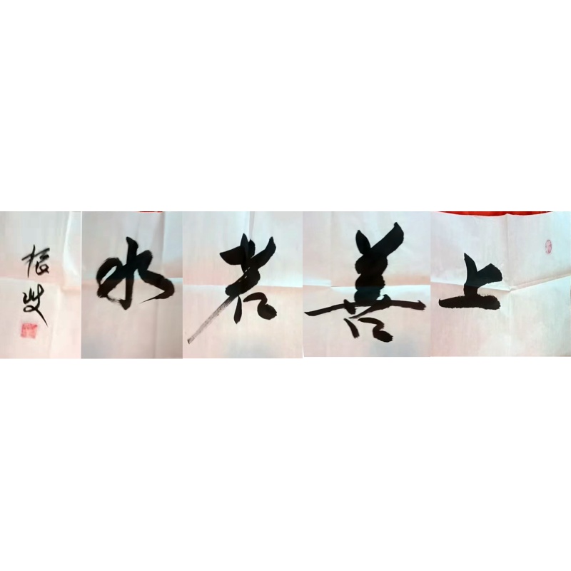 上善若水AE0893