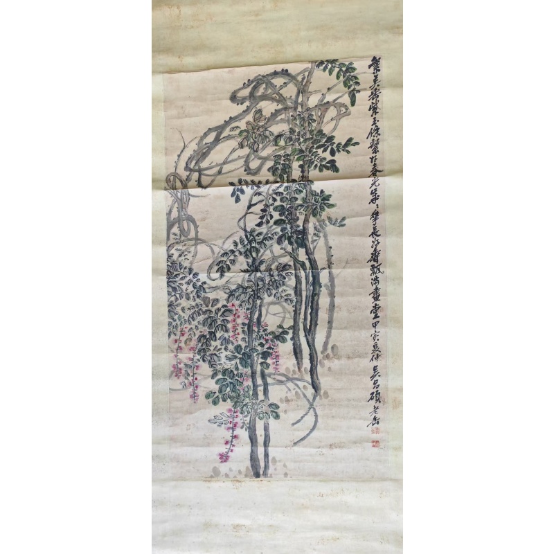 紫玉繁春紫藤图AC1575