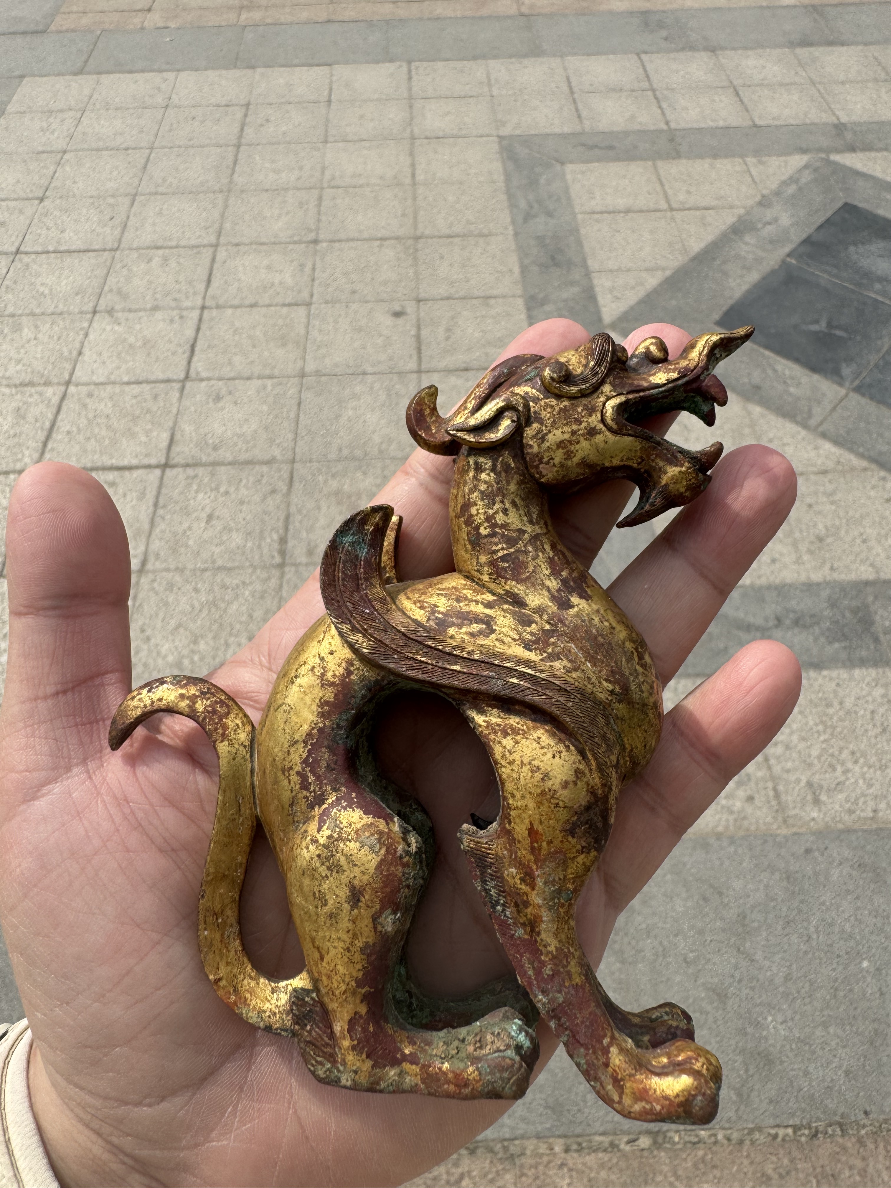 战国龙