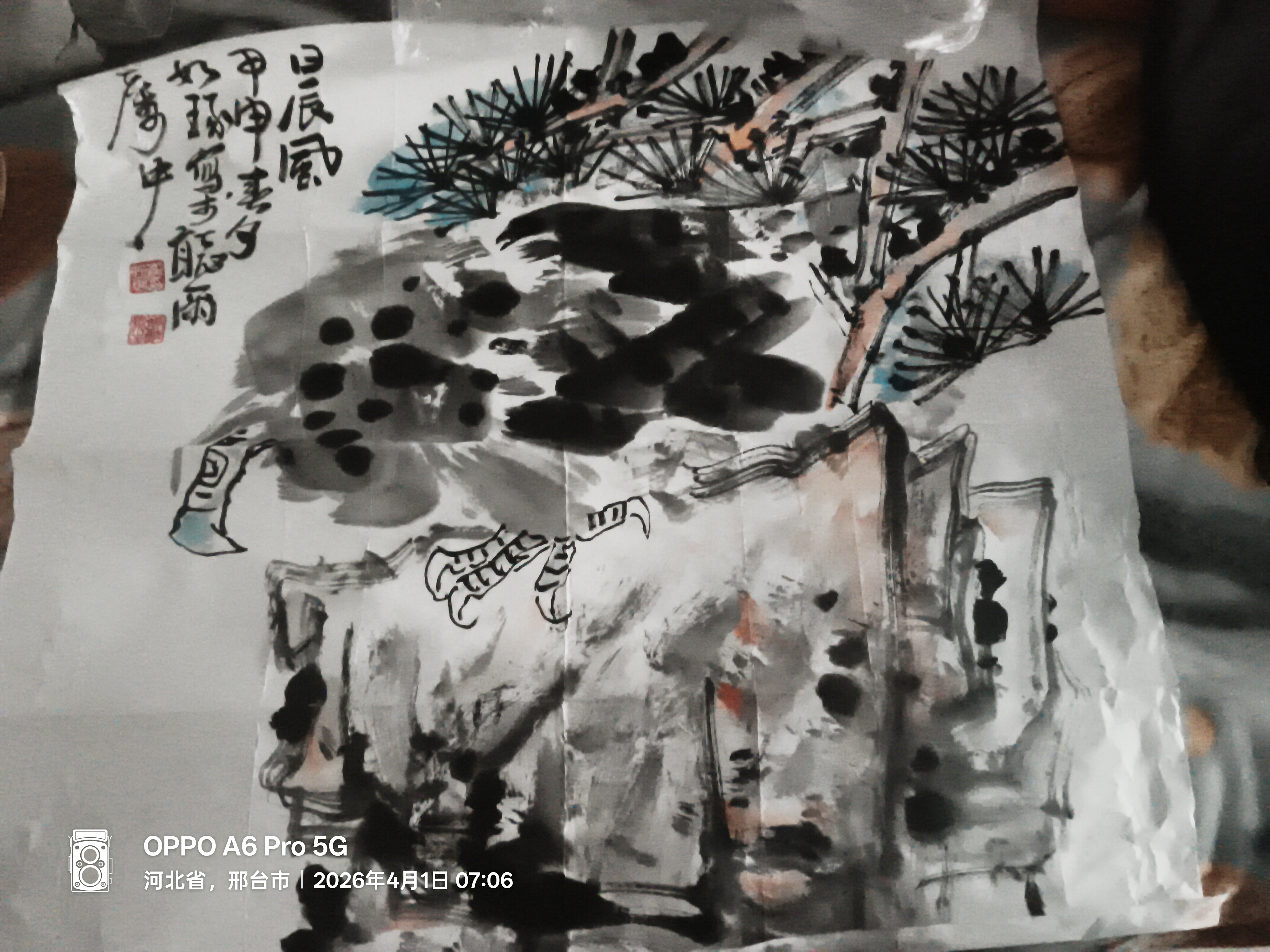 崔如琢鹰AD7039