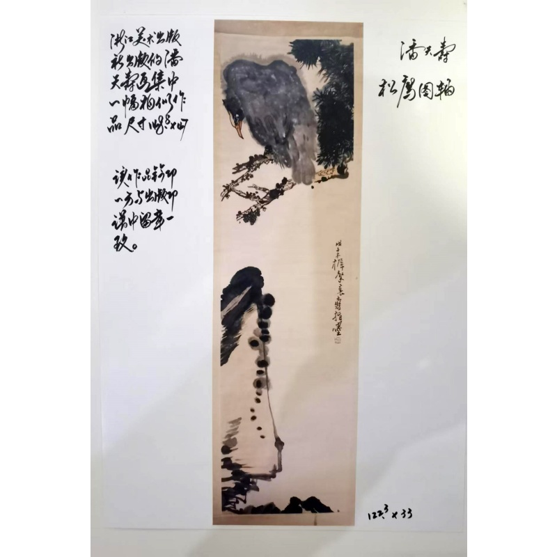 松鹰图AB3418