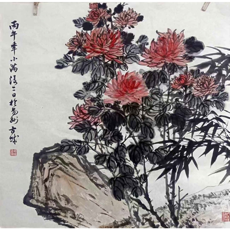 菊花图AK1205